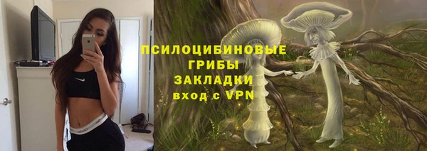 скорость Гусев