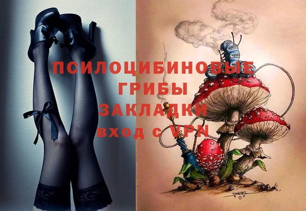 стафф Гусь-Хрустальный