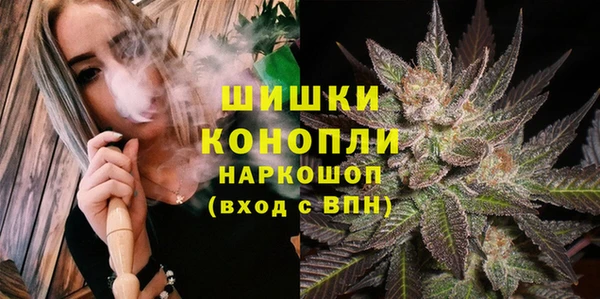 стафф Гусь-Хрустальный