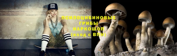 скорость Гусев