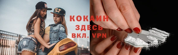 скорость Гусев