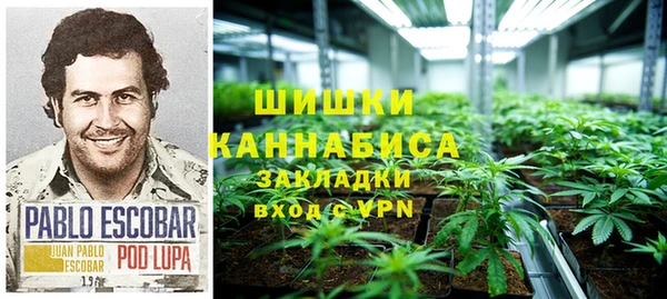 скорость Гусев
