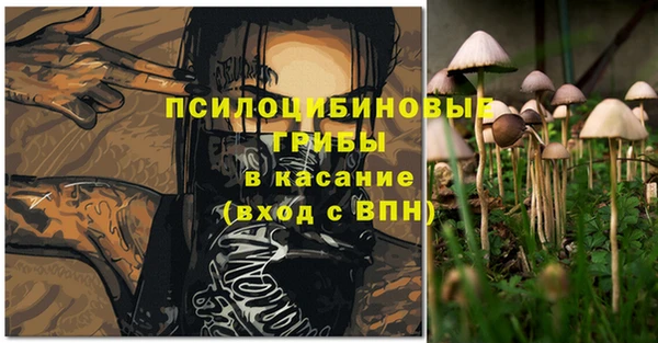 скорость Гусев
