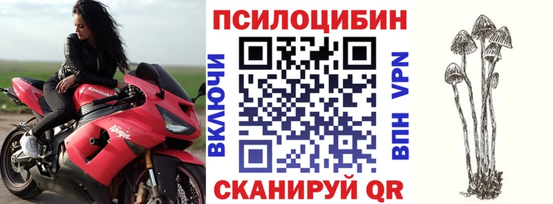 Галлюциногенные грибы мухоморы  Купить где  Кемь 